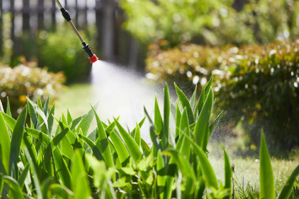 Tamper-Resistant Bait Stations for Rodents in Wheatland