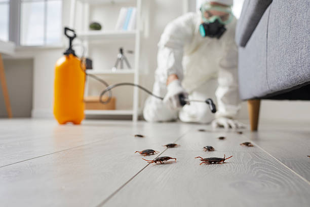 Commercial Rodent Management in Wheatland